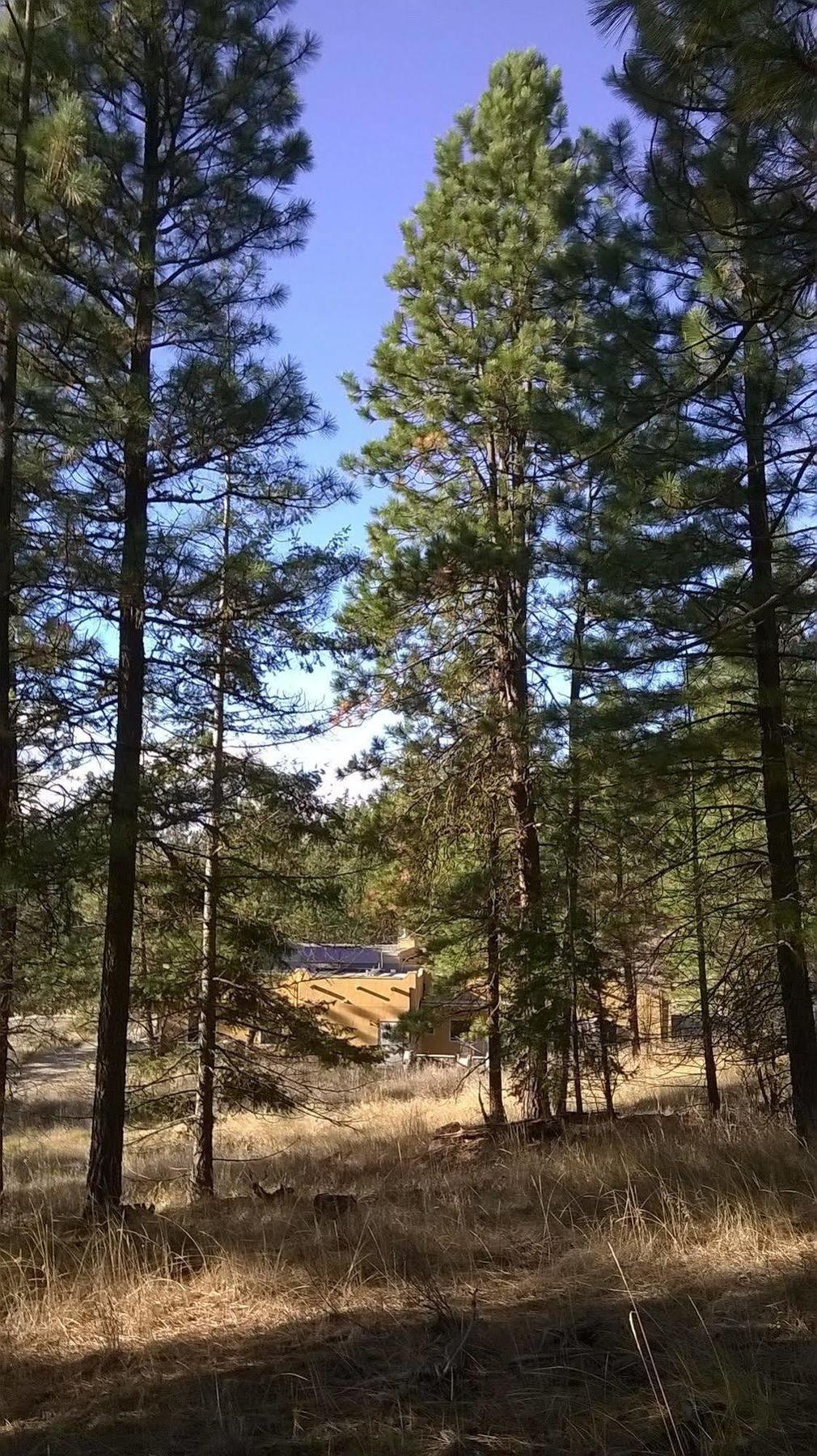 Baergnaescht B&B Osoyoos Εξωτερικό φωτογραφία